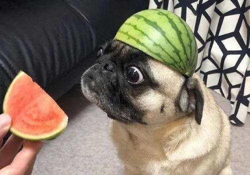 吃瓜戴局,揭秘娱乐圈背后的神秘故事