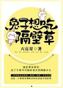 隔壁吃瓜小说全文阅读,揭秘邻里间的秘密风云