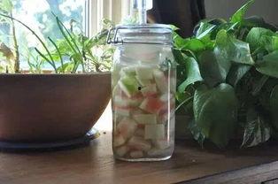 新北洋威海吃瓜,一场别开生面的吃瓜盛宴”