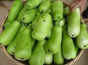 吃的葫芦瓜图片,色泽诱人，口感独特的家常佳肴