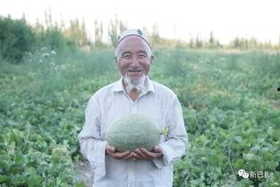 倔强吃瓜,揭秘娱乐圈背后的真相与争议