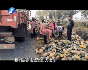 吃瓜群众赵大姐,揭秘娱乐圈那些事儿