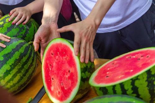 学校吃瓜有哪些,揭秘校园里的那些“瓜”