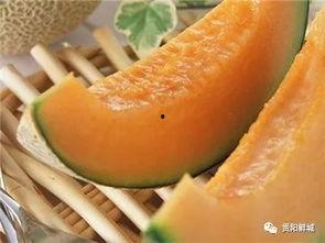 吃瓜群众关注哈密瓜价,吃瓜群众热议焦点