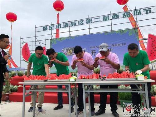 保定清苑吃瓜,夏日吃瓜盛宴，品味地方特色生活