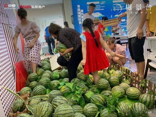 全城吃瓜现场,一场别开生面的“吃瓜”盛宴