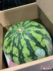 大街吃瓜,揭秘大街上那些引人注目的吃瓜瞬间