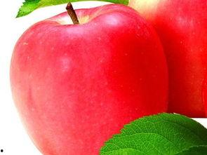 孕妇吃苹果瓜,营养美味，助力母婴健康