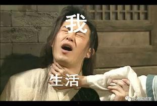 吃瓜李小花